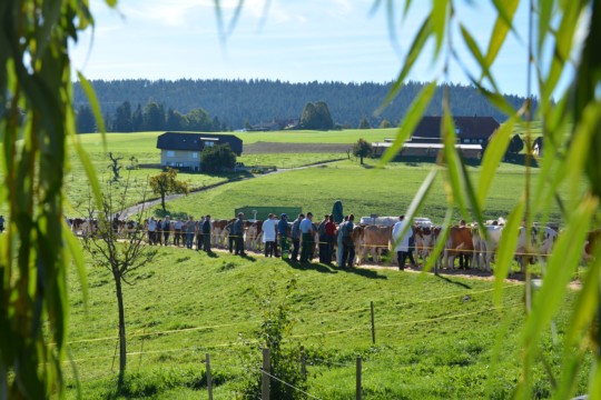 DSC_1397