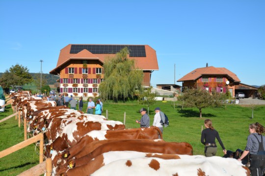 DSC_1399