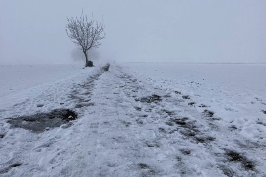Nebel