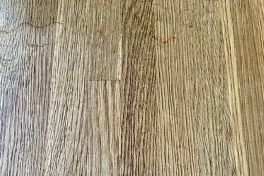IMG_3902.jpeg
