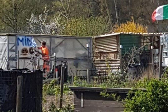 thumbnail_Schrebergarten