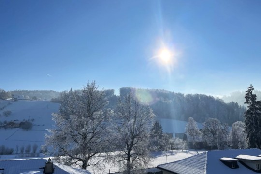 stettlen
