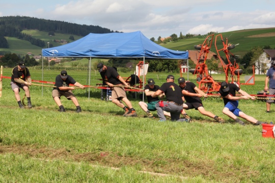 ecb0965dd305881b8a8d5b1924270e18.jpg