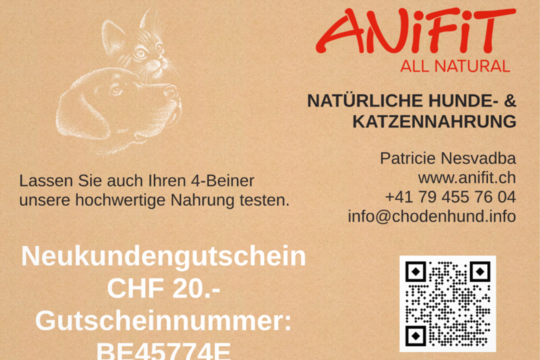 2025 ANiFiT Gutschein neu.png