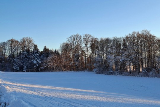 wattenwil