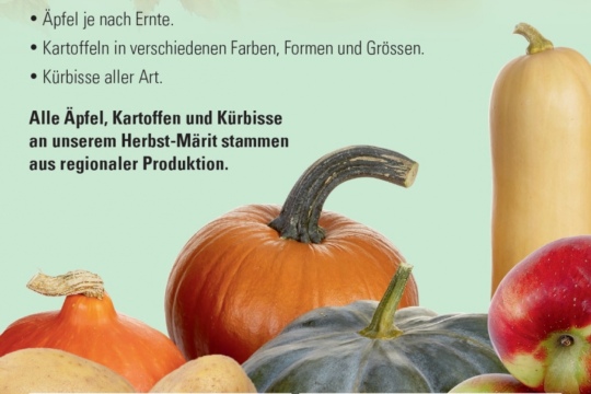 ecfe507c68af389f93fc416ab56121e4.jpg