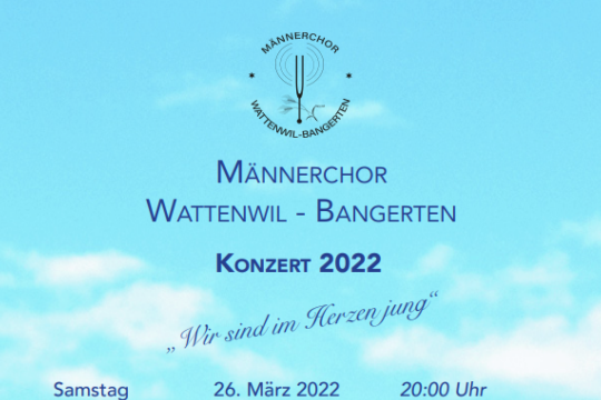 Flyer_V.png