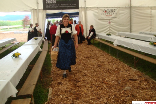 edcec00a7fabd3d9d6b434e405576762.jpg
