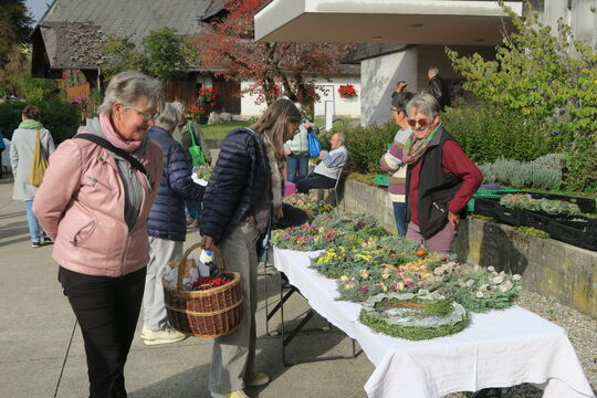 IMG_1850
