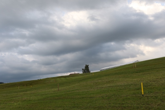 ede540e7760ae47c99e03e296cf06165.jpg