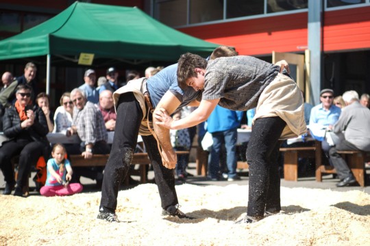 gerber_utzigen_016