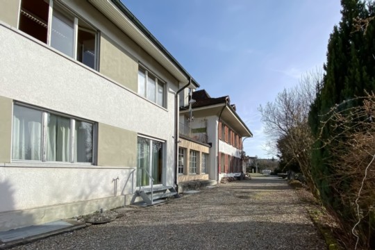 sonnhaldezvg
