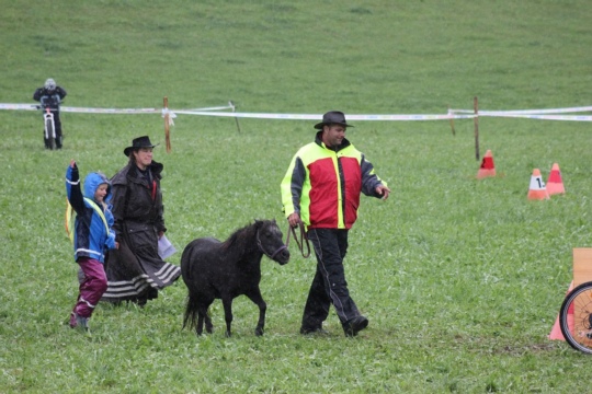 eea1629479c5fab4e948dc6285f6f8b6.jpg