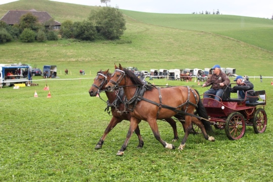 ef248ba9b53d489300737be40b7eb17f.jpg