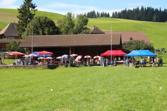 ef2bc26948363818bcfcd7c4072e6760.jpg