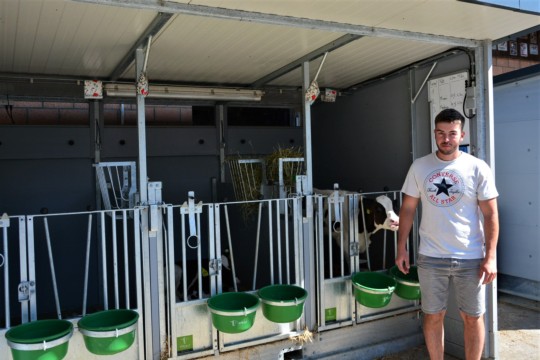 Stall Jungtiere-min