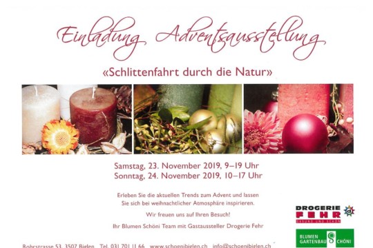 Adventsausstellung 20192.jpg