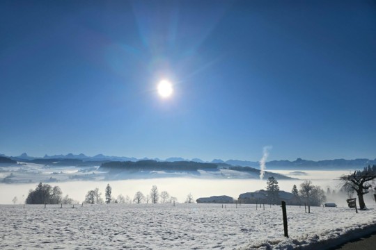 wikartswil