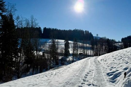 oberthal