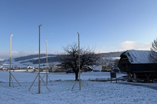 Bild Der Entscheid ist gefallen