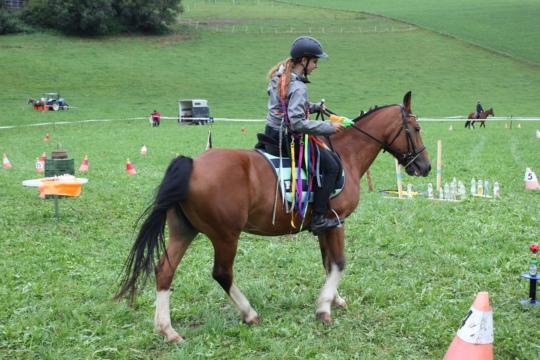 f0520780c172ed743c83cd715cc3236a.jpg