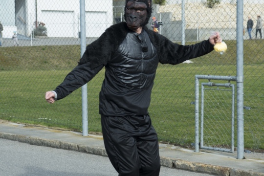 f056c314547d4cdb23a5fbe4d2540ac4.jpg