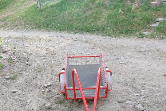 20260502_182554.jpg