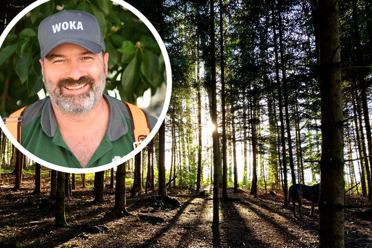 Wald interview-High-Quality