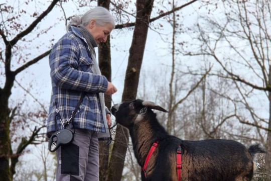 WhatsApp Bild 2025-01-07 um 15.23.23_24263790