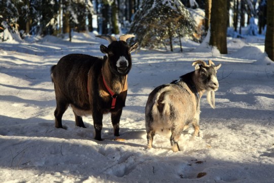 WhatsApp Bild 2025-01-07 um 15.23.24_4e6944a8