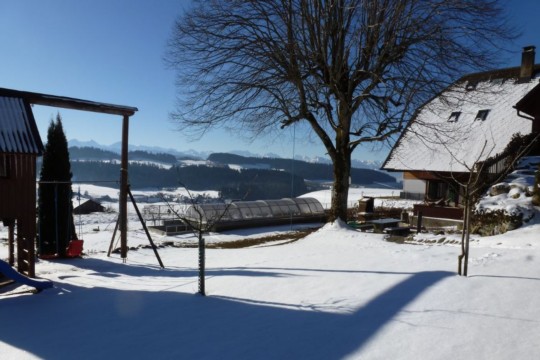 Gartenanlage.jpg