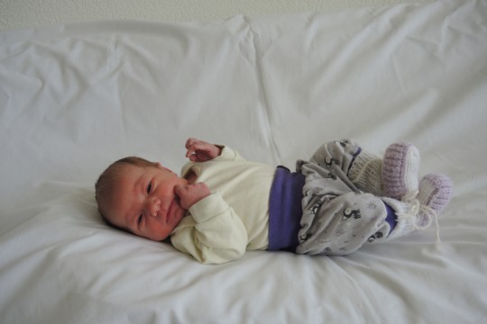 Bär Letizia w Landiswil 12 01 2025