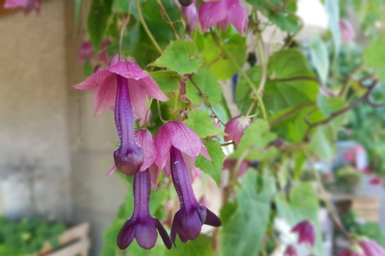 20190702_095752.jpg