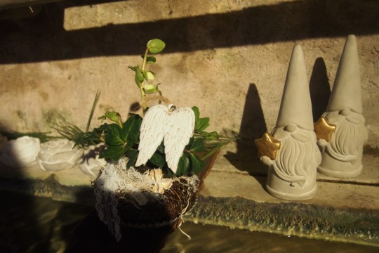 P1010307