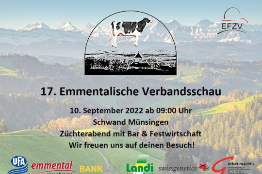 verbandschau.jpg