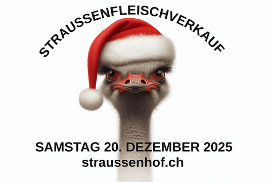 ChatGPT Image 28. Nov. 2025, 18_43_33.png