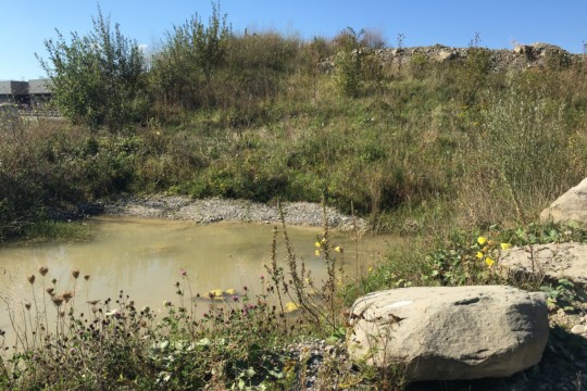 Foto_2