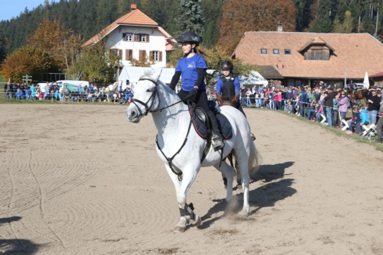 f443206eb703ab81705df082fa6651ed.jpg