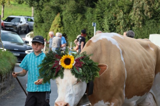 image00001