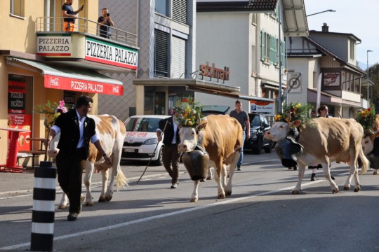 image00006