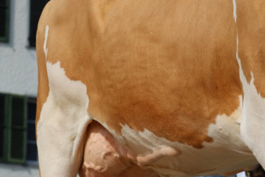 image00061
