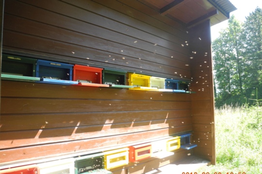 DSCN3068