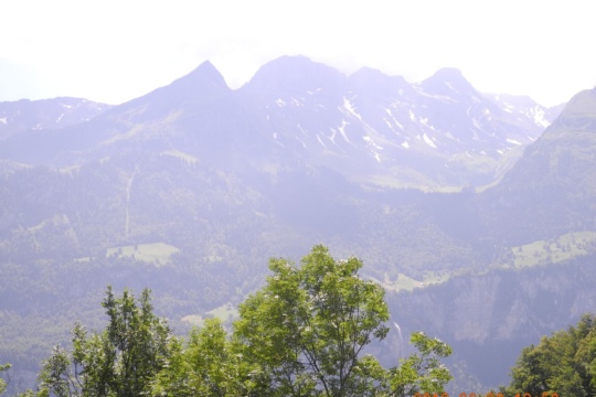 DSCN3070