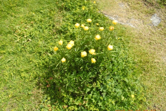 DSCN3076