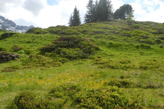 DSCN3077