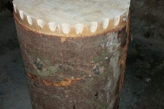 f4d2bead1f2d89e10f87fa549475678e.jpg