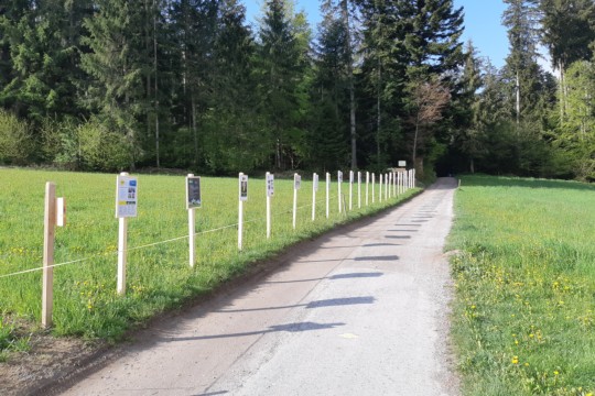 Vereinstafeln