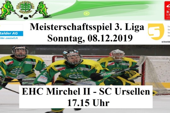 Meisterschaftsspiel 3. Liga, 08.12.2019.jpg