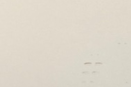 20241223_163250.jpg