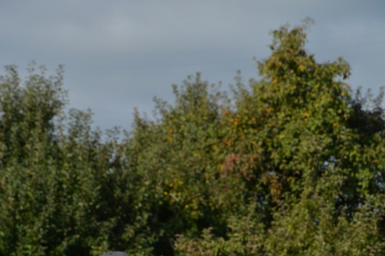 DSC_5479